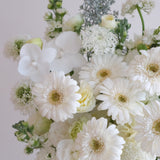 Studio White