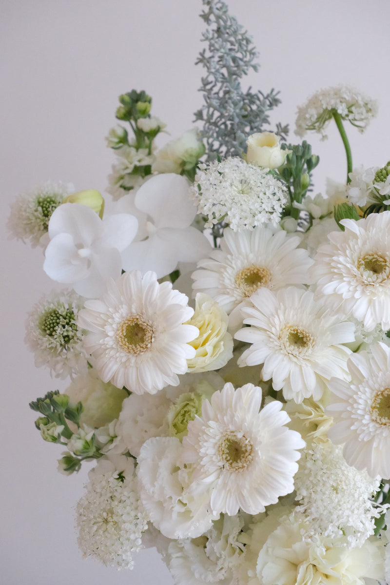 Studio White