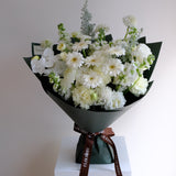 Studio White