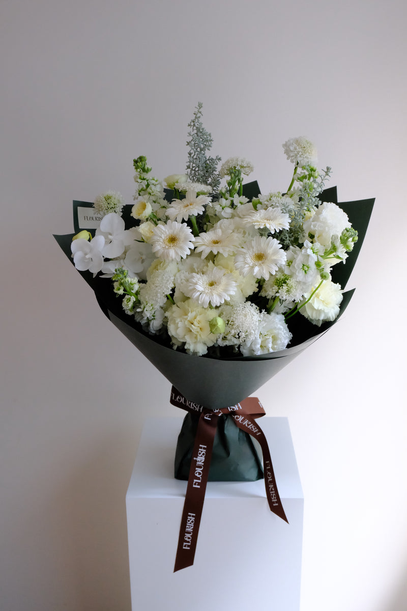 Studio White