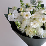 Studio White