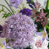 Allium Waltz