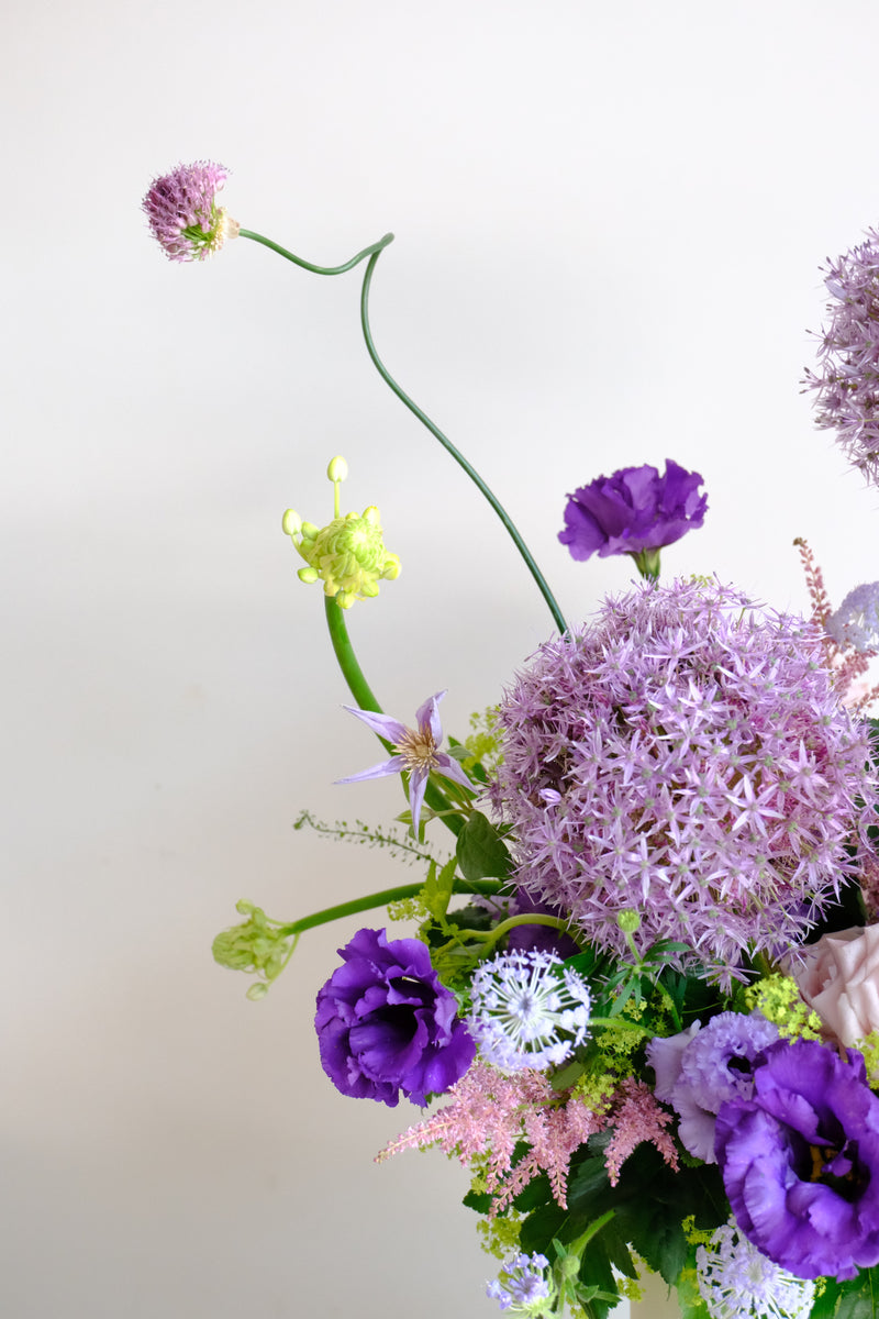 Allium Waltz