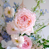 First Blush