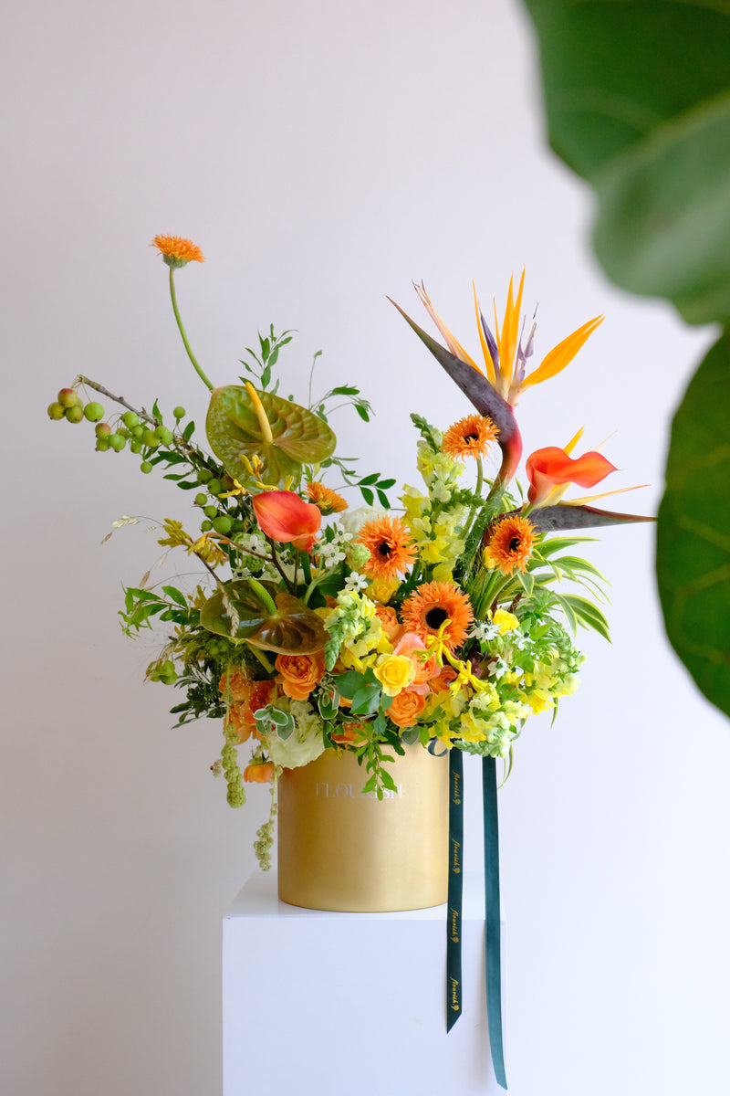 Orange Jubilee