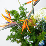 Blossom of Success